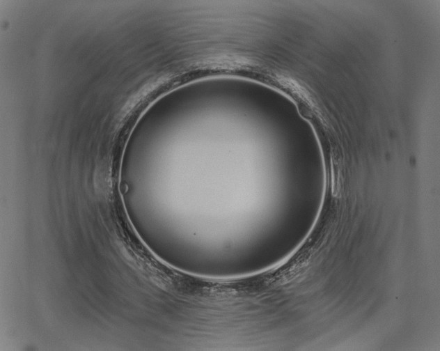 X0000062840531200601131326
