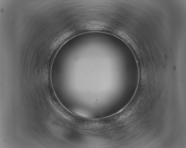 X0000062840533200601131326