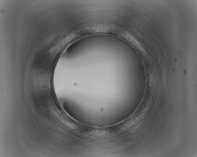 X0000062840537200601131326