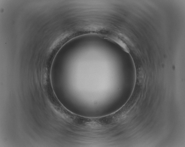 X0000062840544200601131326