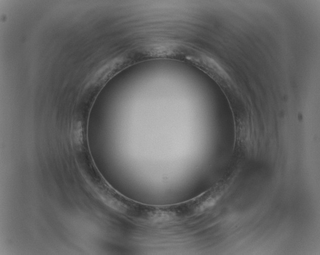 X0000062840549200601131326