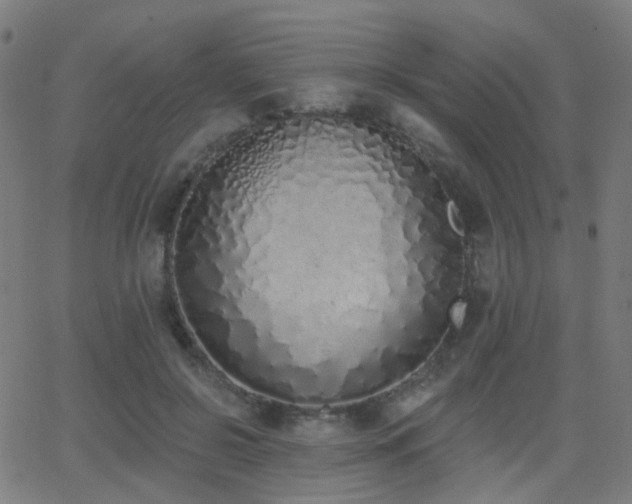 X0000062840550200601131326