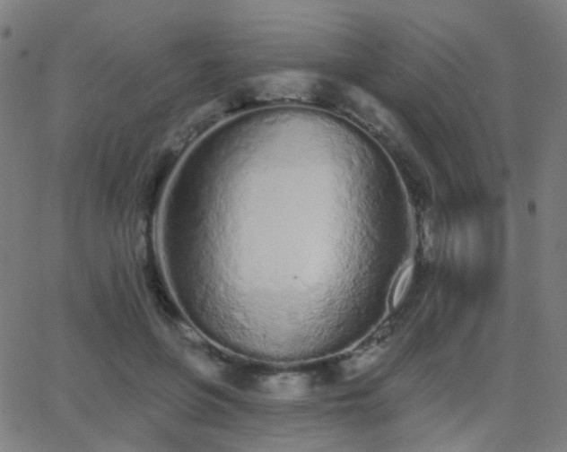 X0000062840551200601131326