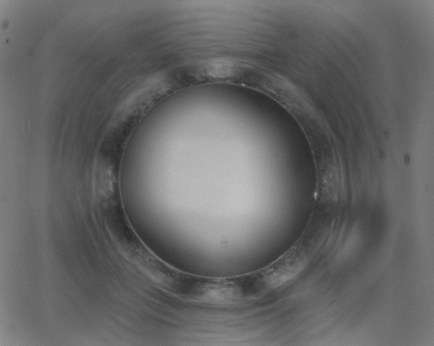 X0000062840555200601131327