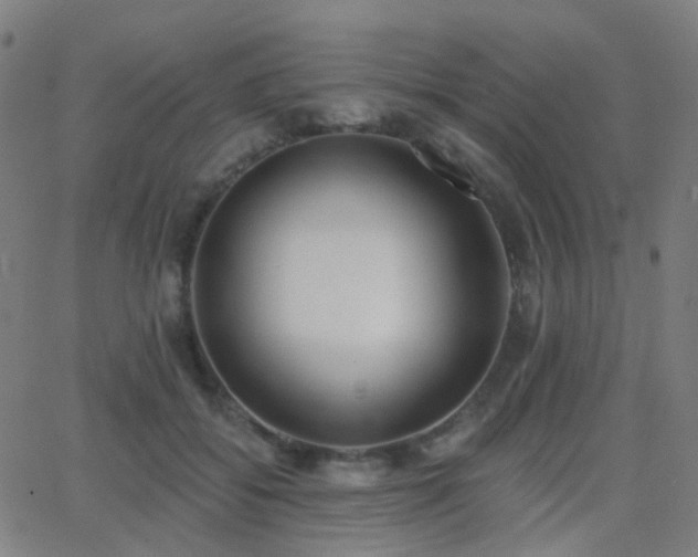 X0000062840556200601131327