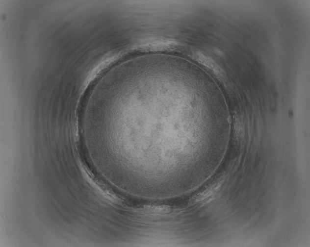 X0000062840582200601131326