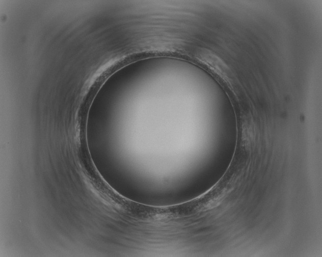 X0000062840584200601131326