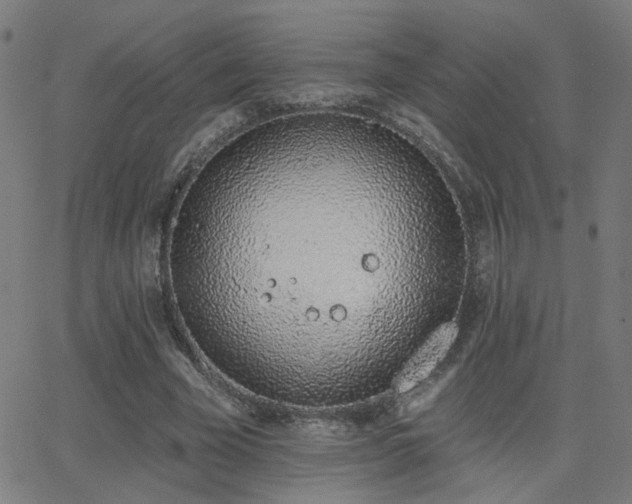 X0000062840585200601131326
