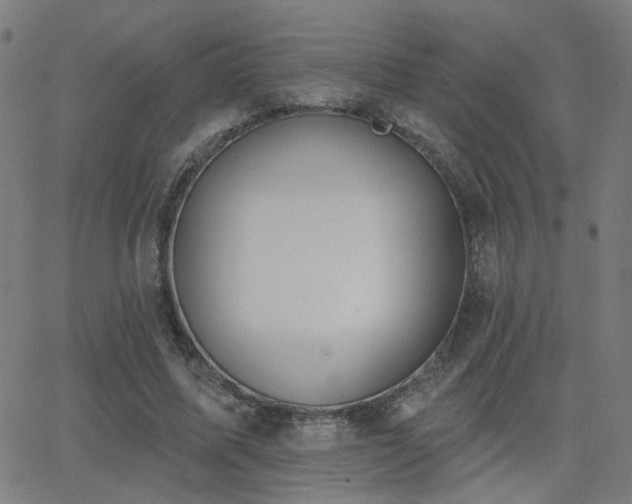 X0000062840587200601131326