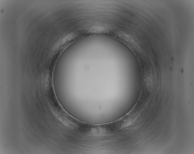 X0000062840591200601131326