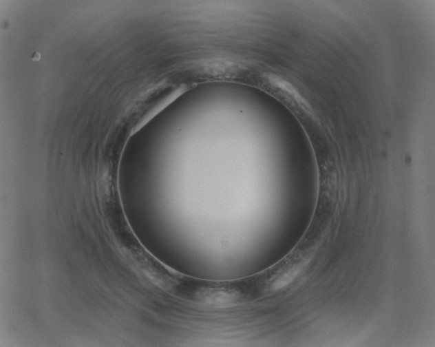 X0000062840597200601131326