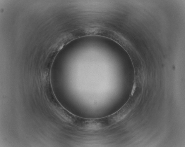 X0000062840601200601131326