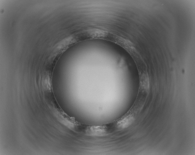 X0000062840622200601131325