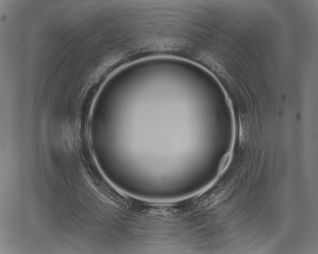 X0000062840627200601131325
