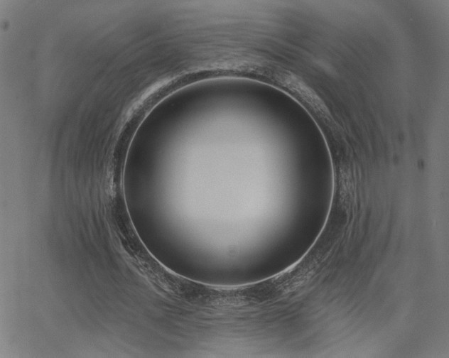 X0000062840628200601131325
