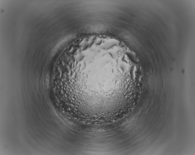 X0000062840640200601131325