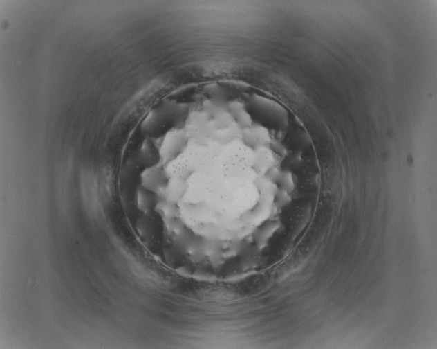 X0000062840648200601131325
