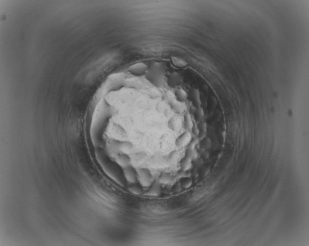 X0000062840652200601131325