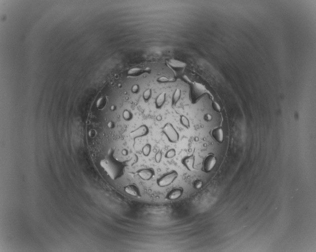 X0000062840659200601131325