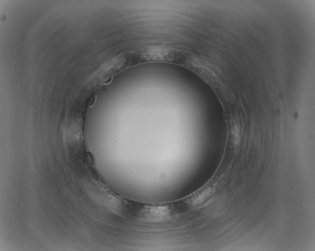 X0000062840665200601131325