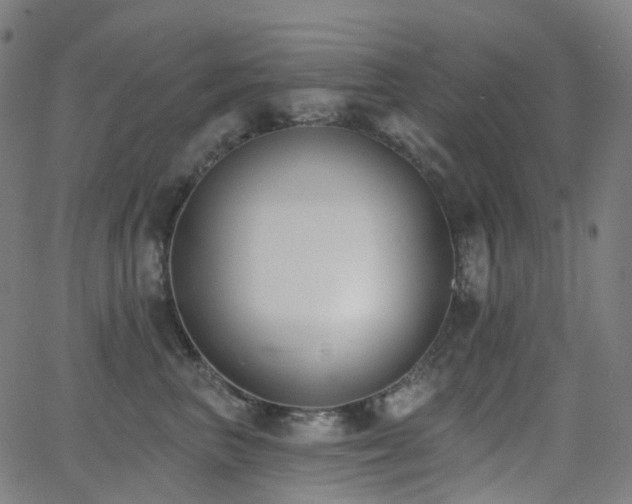 X0000062840667200601131325