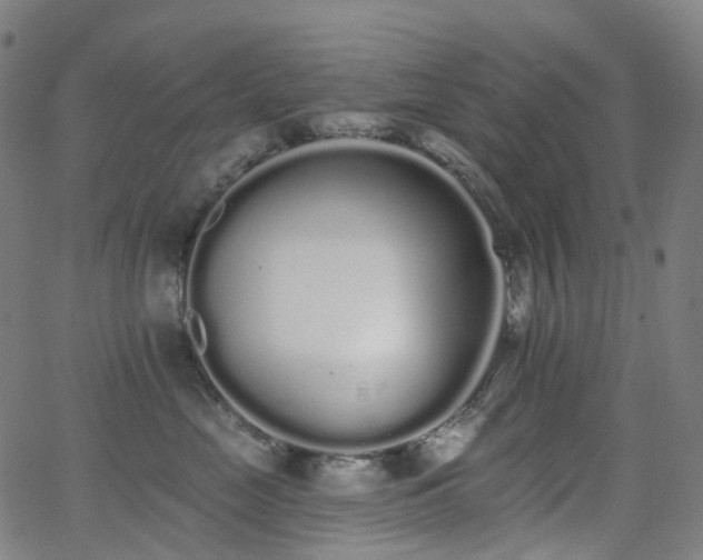 X0000062840669200601131325