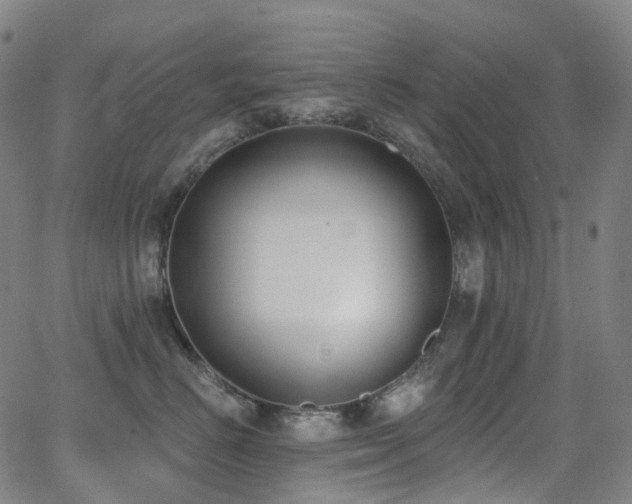 X0000062840670200601131325