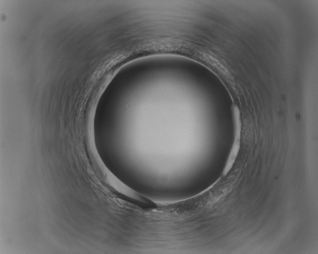 X0000062840673200601131325