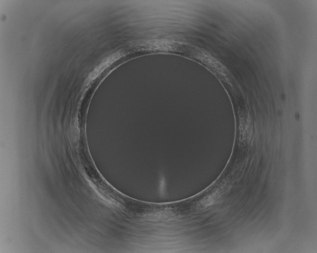 X0000062840674200601131325