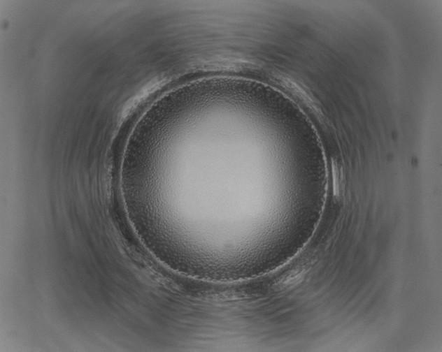 X0000062840675200601131324