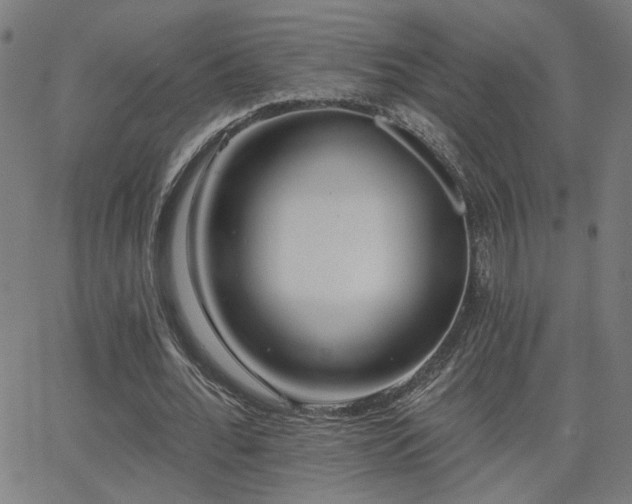X0000062840676200601131324