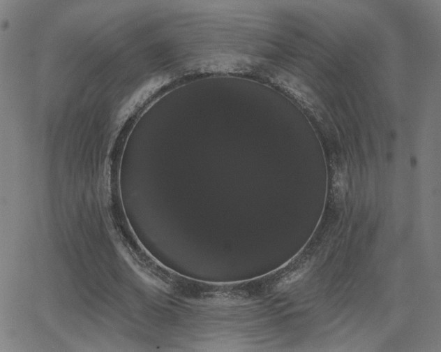X0000062840678200601131324