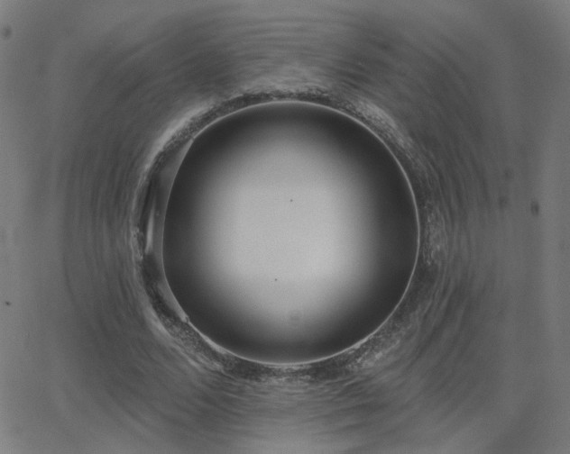 X0000062840680200601131324