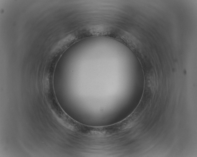 X0000062840690200601131324