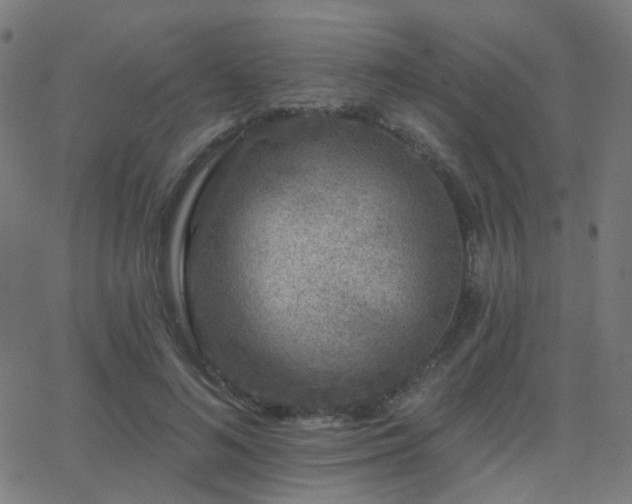 X0000062840692200601131324
