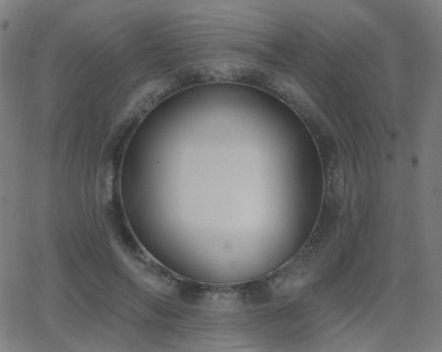 X0000062840694200601131324