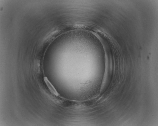 X0000062840696200601131324