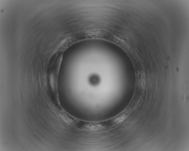 X0000062840712200601131324