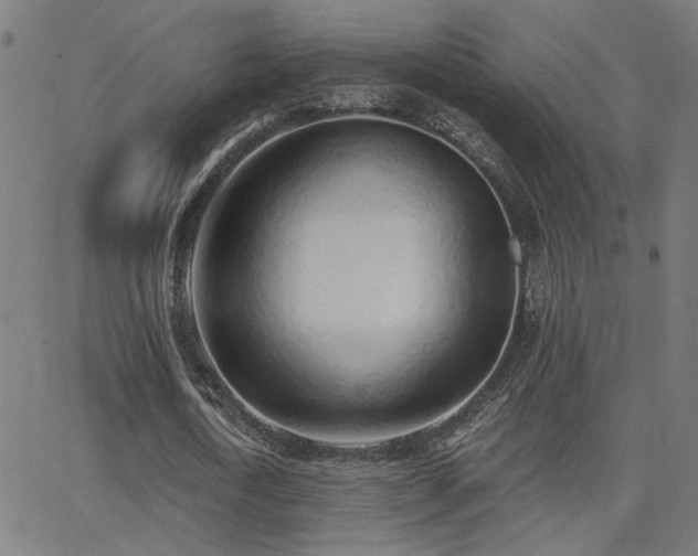 X0000062840722200601131323