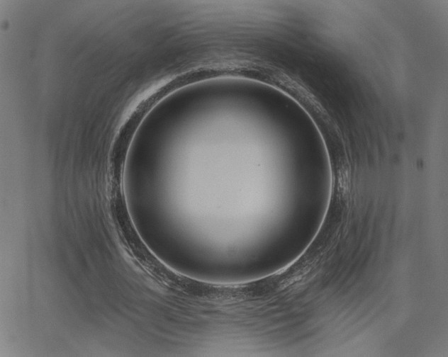 X0000062840724200601131323