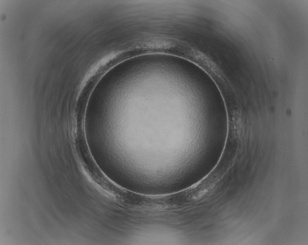 X0000062840726200601131323