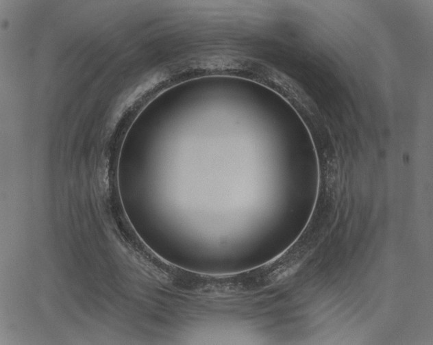 X0000062840727200601131323