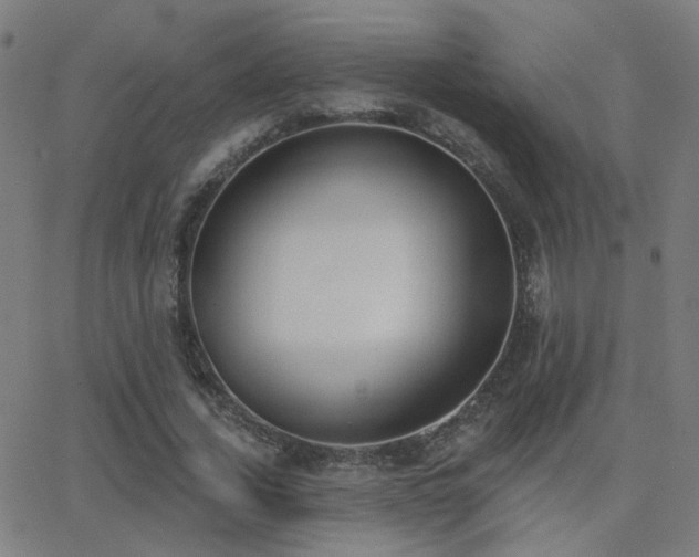X0000062840732200601131323