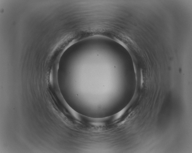 X0000062840735200601131323