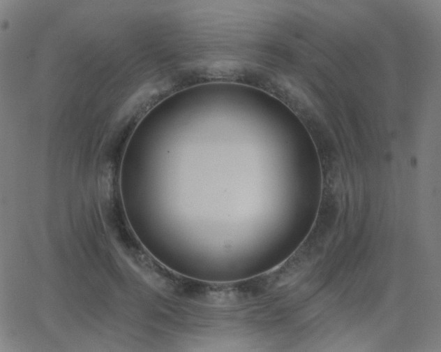 X0000062840744200601131323