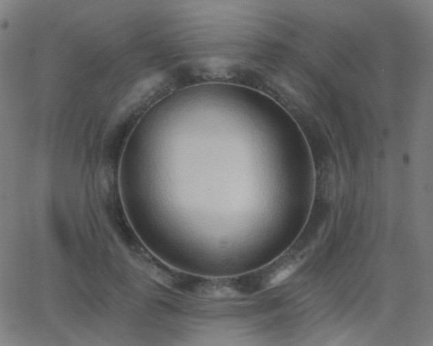 X0000062840747200601131323