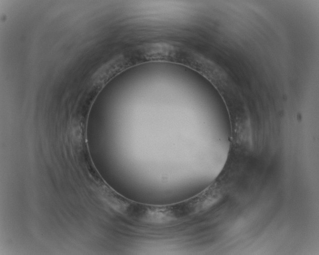 X0000062840753200601131323