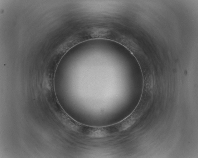 X0000062840755200601131324