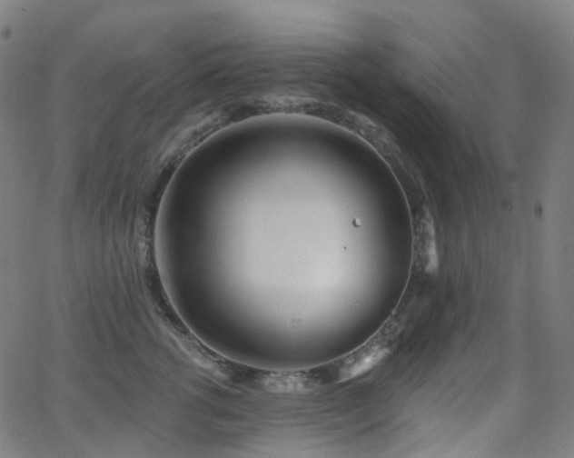 X0000062840762200601131324