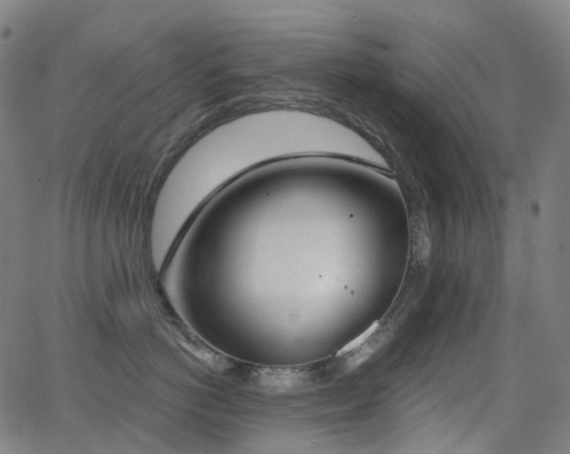 X0000062840766200601131324